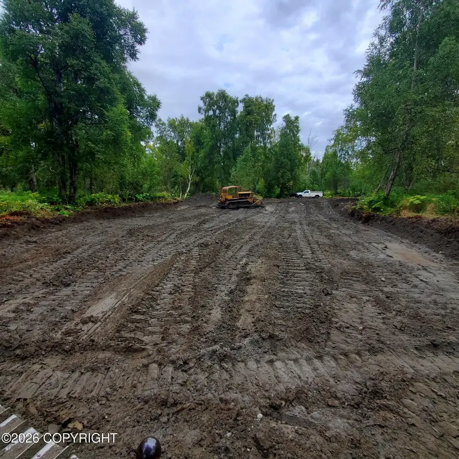 23580 S Bobcat Trail, Trapper Creek, AK 99683 - #3