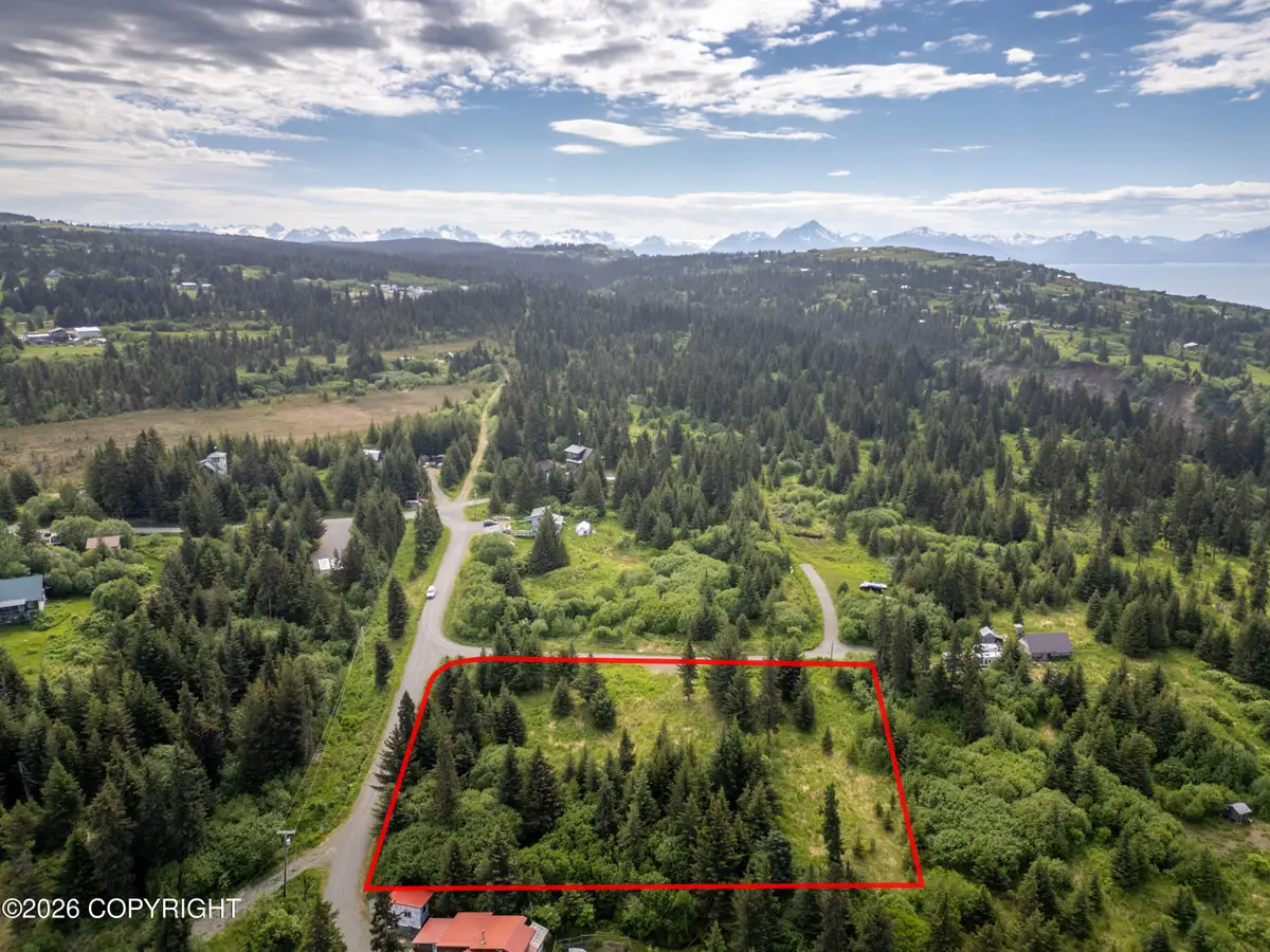 41155 Char Court, Homer, AK 99603 - #1