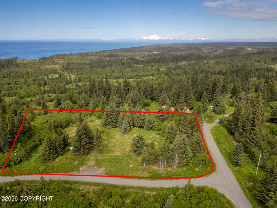 41155 Char Court, Homer, AK 99603 - #2