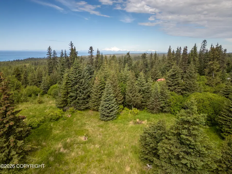 41155 Char Court, Homer, AK 99603 - #3