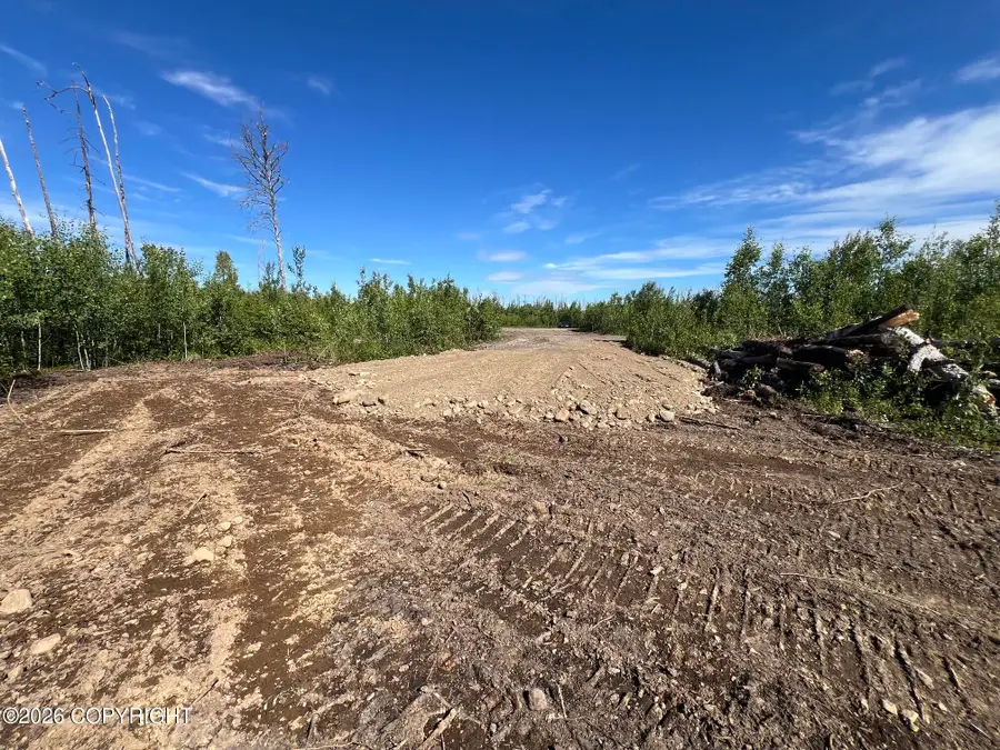 15466 E Wild Bill Way, Willow, AK 99688 - #2