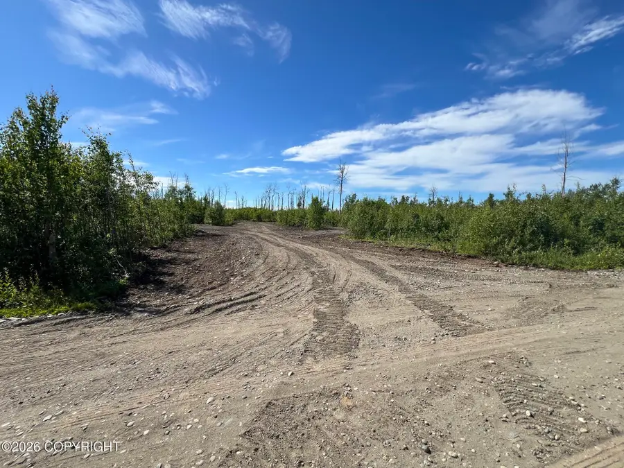 15466 E Wild Bill Way, Willow, AK 99688 - #3