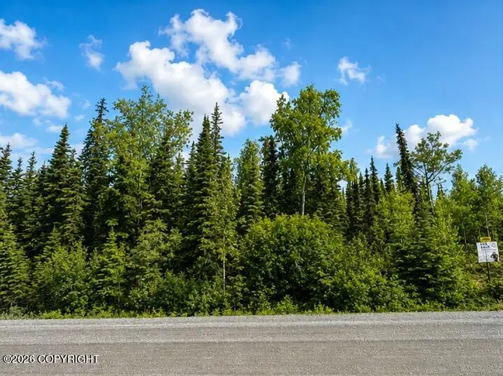 L4 Lake Road, Soldotna, AK 99669 - #2