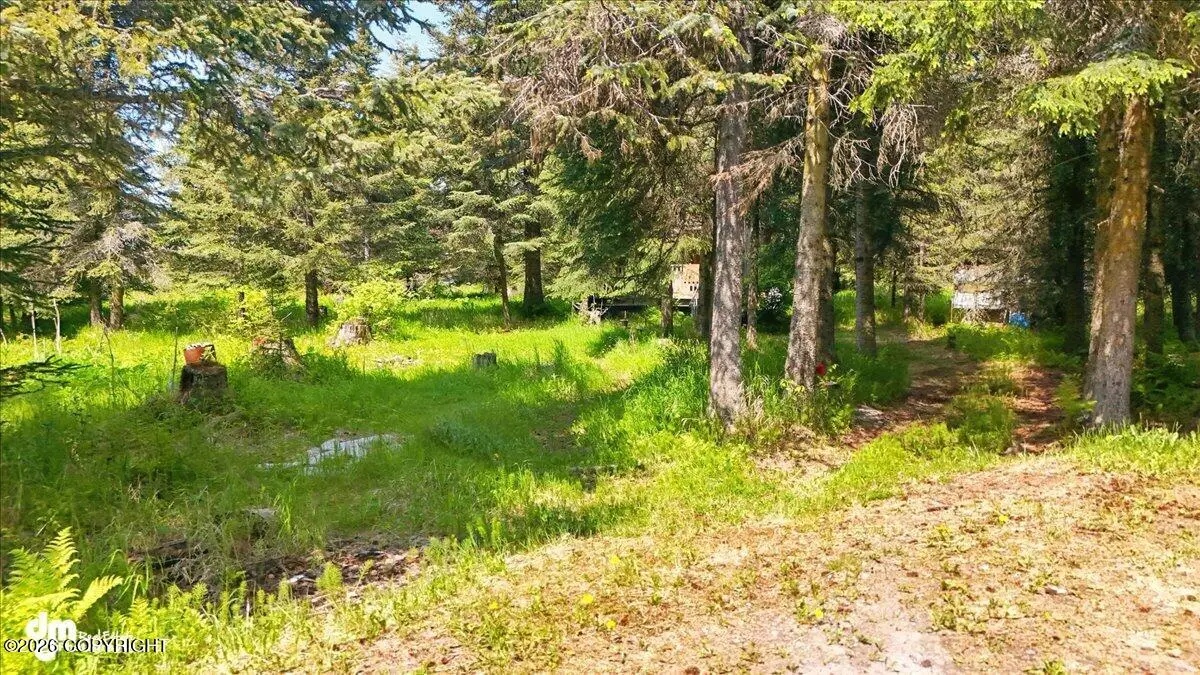 67290 Kiana Drive, Ninilchik, AK 99639 - #1