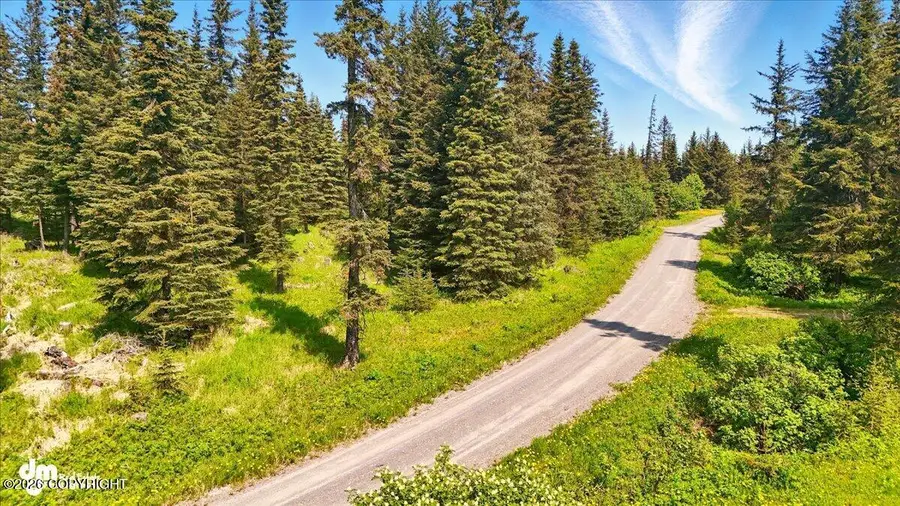 67290 Kiana Drive, Ninilchik, AK 99639 - #2