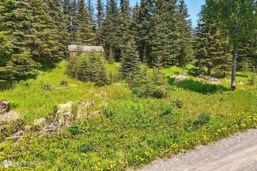 67290 Kiana Drive, Ninilchik, AK 99639 - #3
