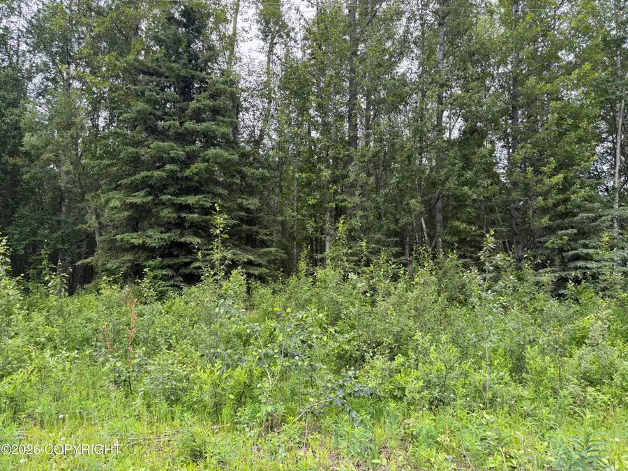 Lot 4 Erlwein Rd Road, Soldotna, AK 99669 - #2