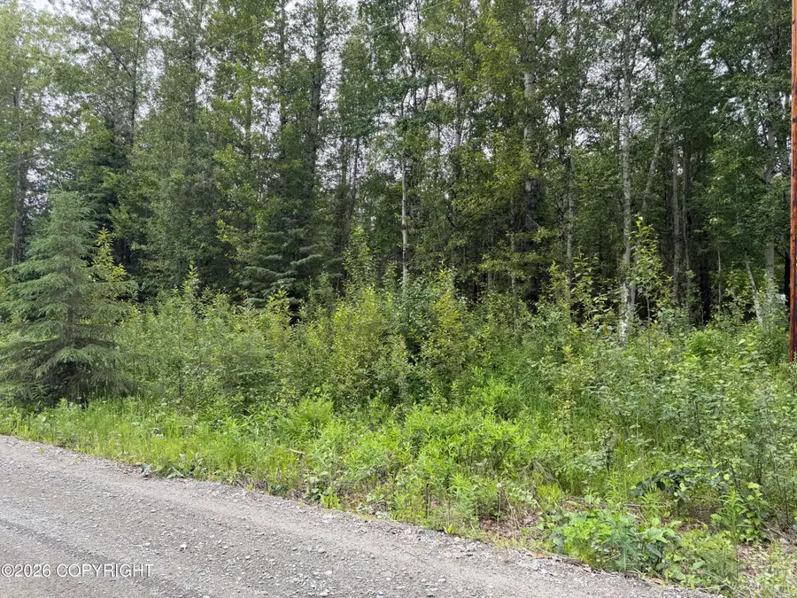 Lot 4 Erlwein Rd Road, Soldotna, AK 99669 - #3