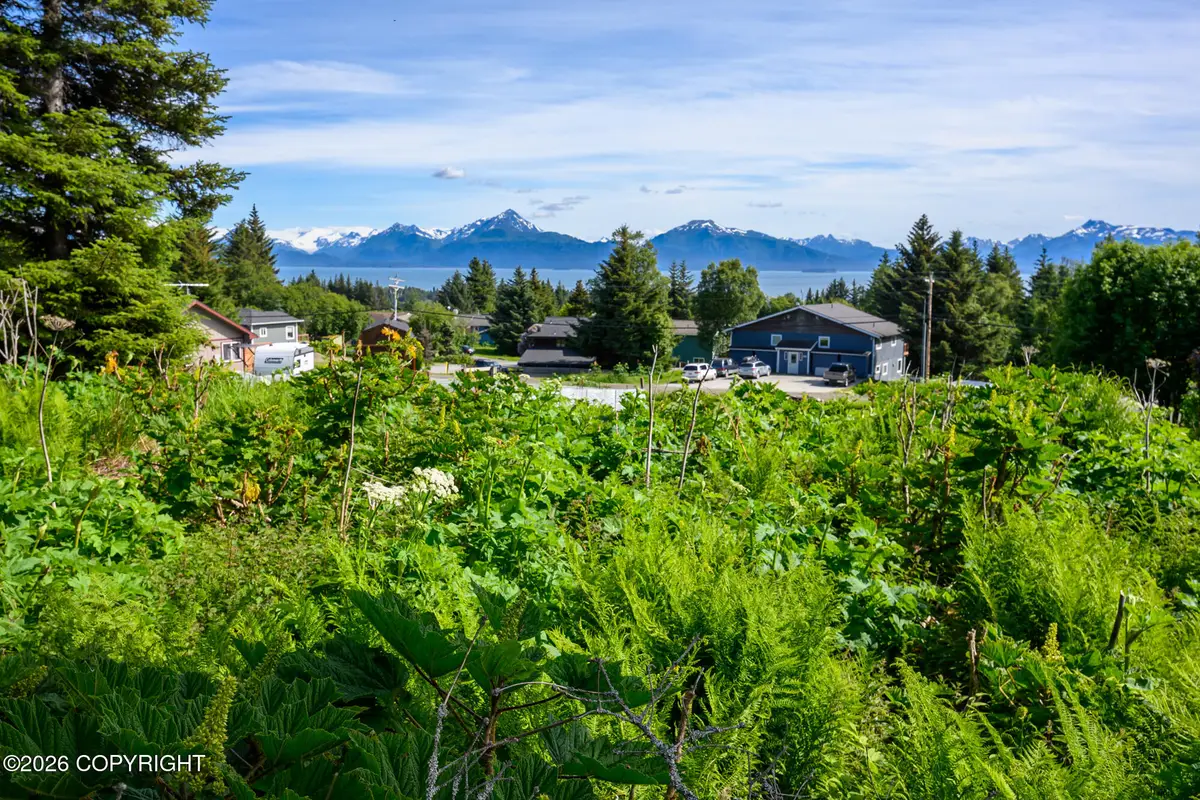 167 E Danview Avenue, Homer, AK 99603 - #1