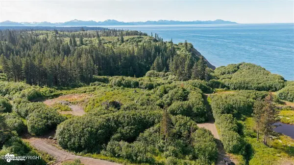 35899 & 35931 Danver Street, Anchor Point, AK 99556