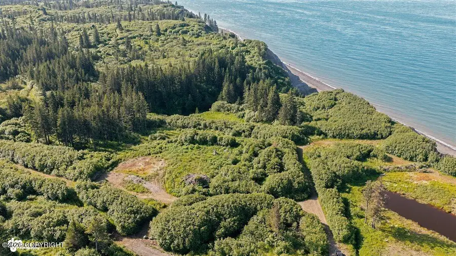 35899 & 35931 Danver Street, Anchor Point, AK 99556 - #2