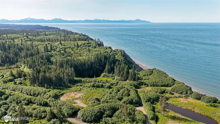 35899 & 35931 Danver Street, Anchor Point, AK 99556 - #3