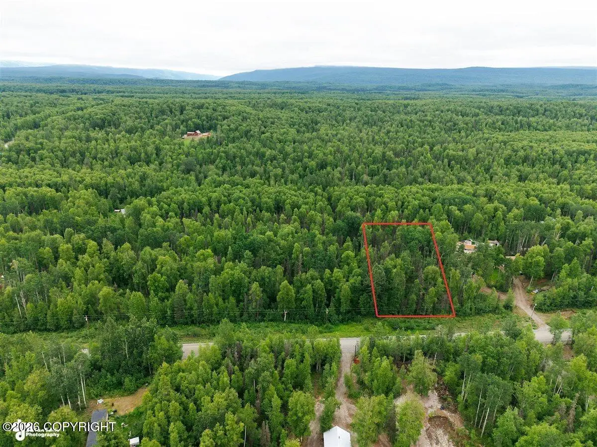 20150 E Notherstrike Avenue, Willow, AK 99688 - #1