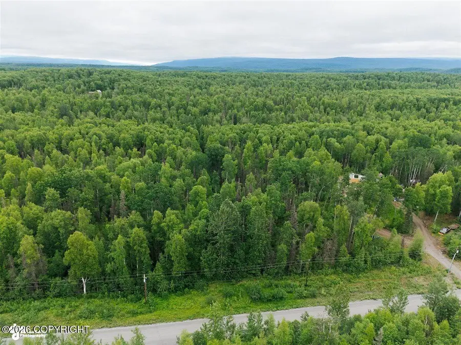 20150 E Notherstrike Avenue, Willow, AK 99688 - #2