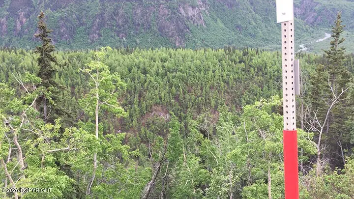 51900 W Glenn Highway, Chickaloon, AK 99674 - #3
