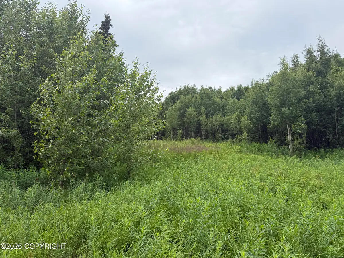 2150 S Sea Biscuit Lane, Palmer, AK 99645 - #1