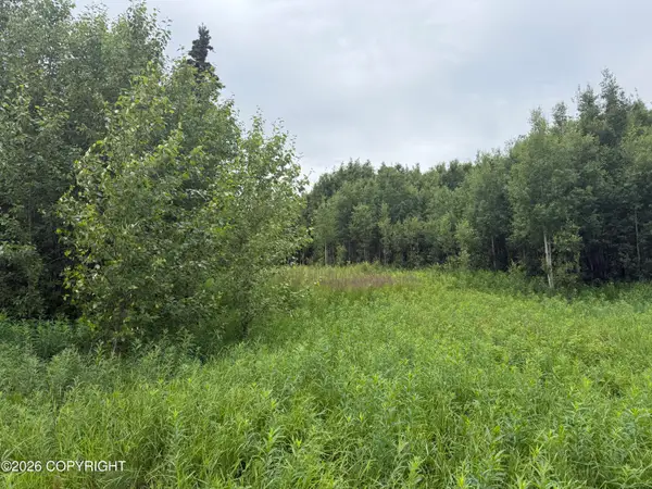 2150 S Sea Biscuit Lane, Palmer, AK 99645