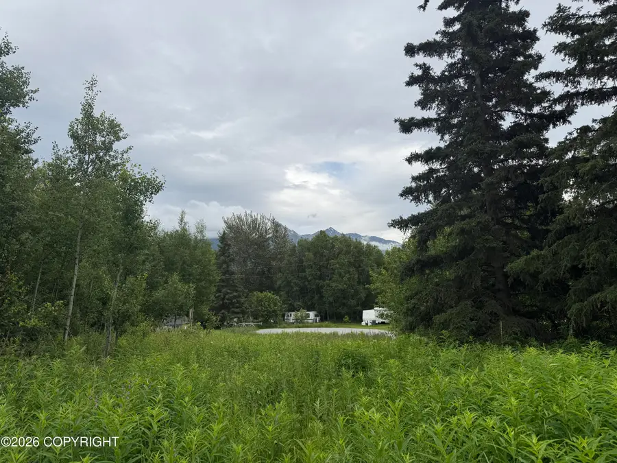 2150 S Sea Biscuit Lane, Palmer, AK 99645 - #2