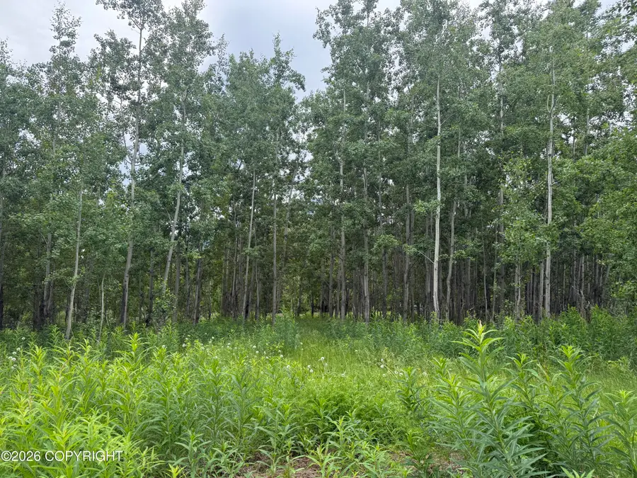 2150 S Sea Biscuit Lane, Palmer, AK 99645 - #3