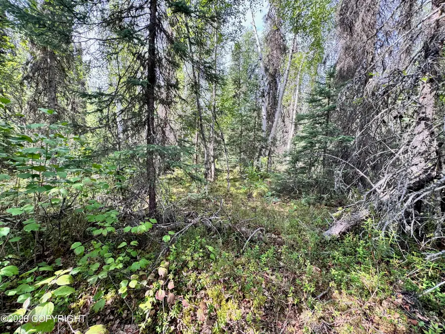26786 W Lakeshore Circle, Willow, AK 99688 - #2