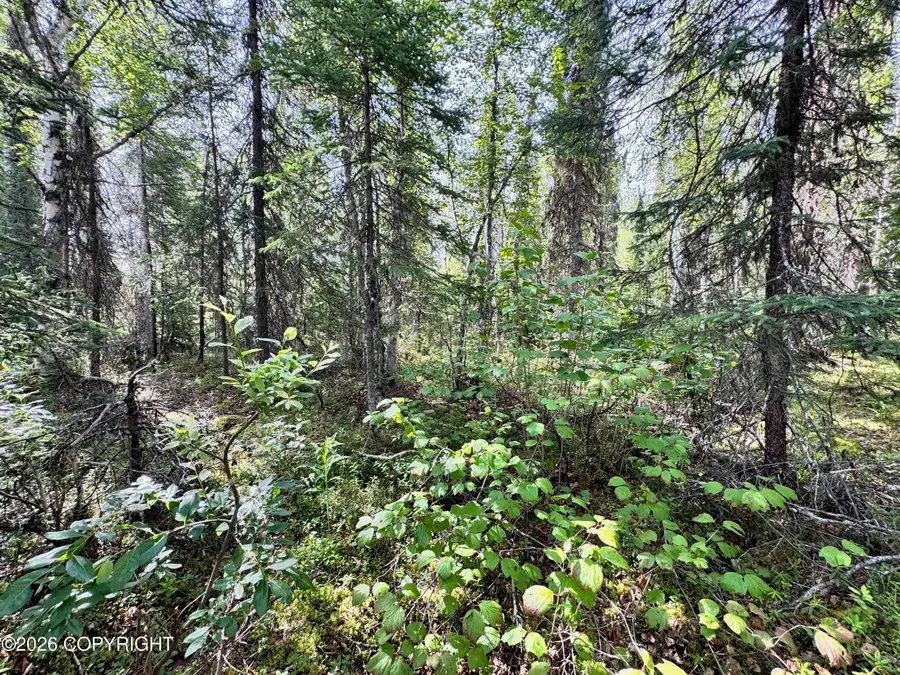 26786 W Lakeshore Circle, Willow, AK 99688 - #3