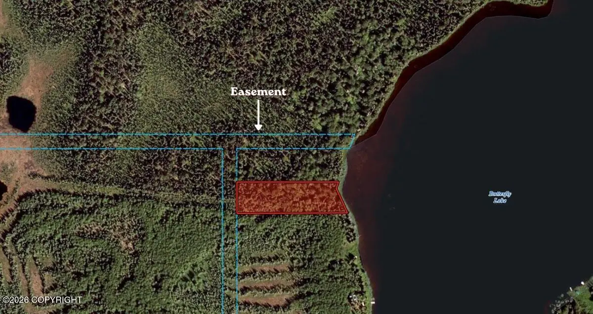 L12 E Butterfly Lake, Willow, AK 99688 - #1