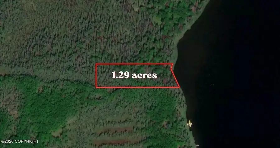 L12 E Butterfly Lake, Willow, AK 99688 - #2