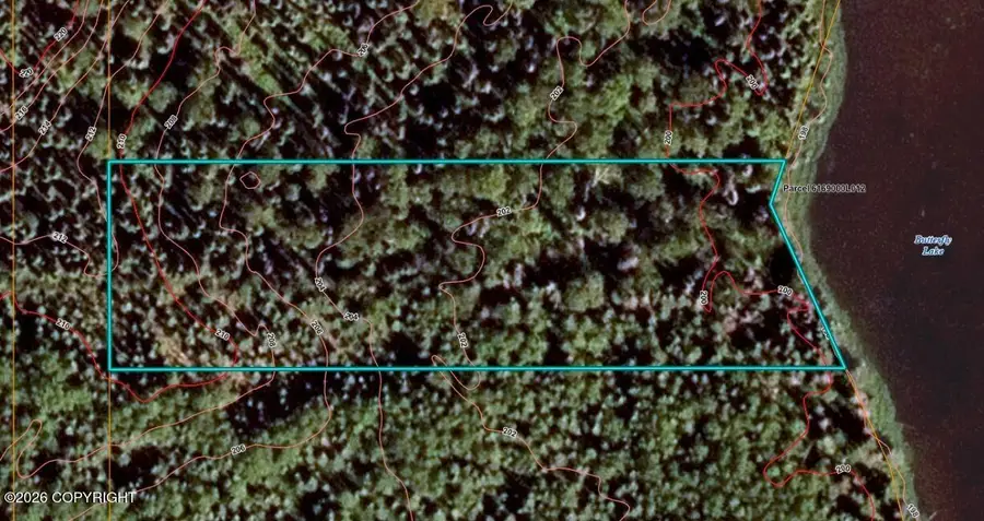 L12 E Butterfly Lake, Willow, AK 99688 - #3