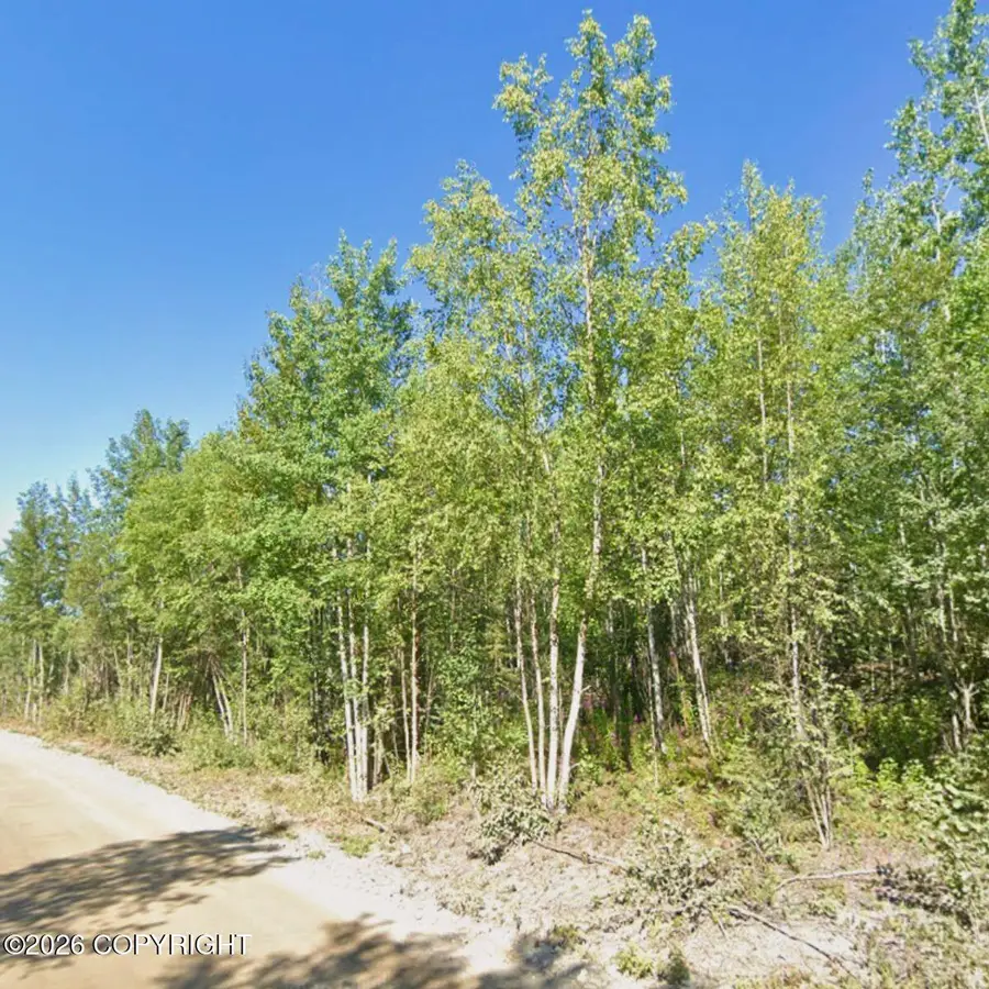 542 S Lazy Lake Drive, Houston, AK 99623 - #2