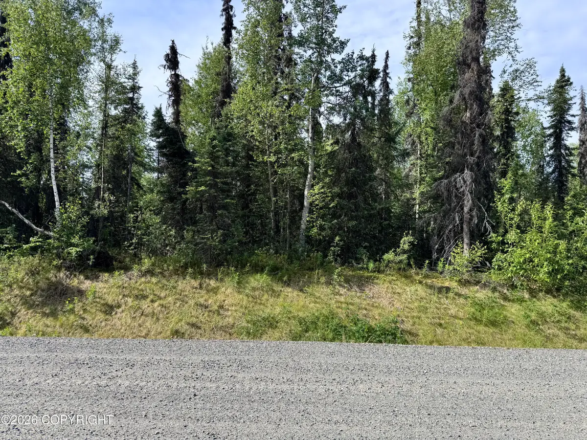 26814 W Lakeshore Circle, Willow, AK 99688 - #1