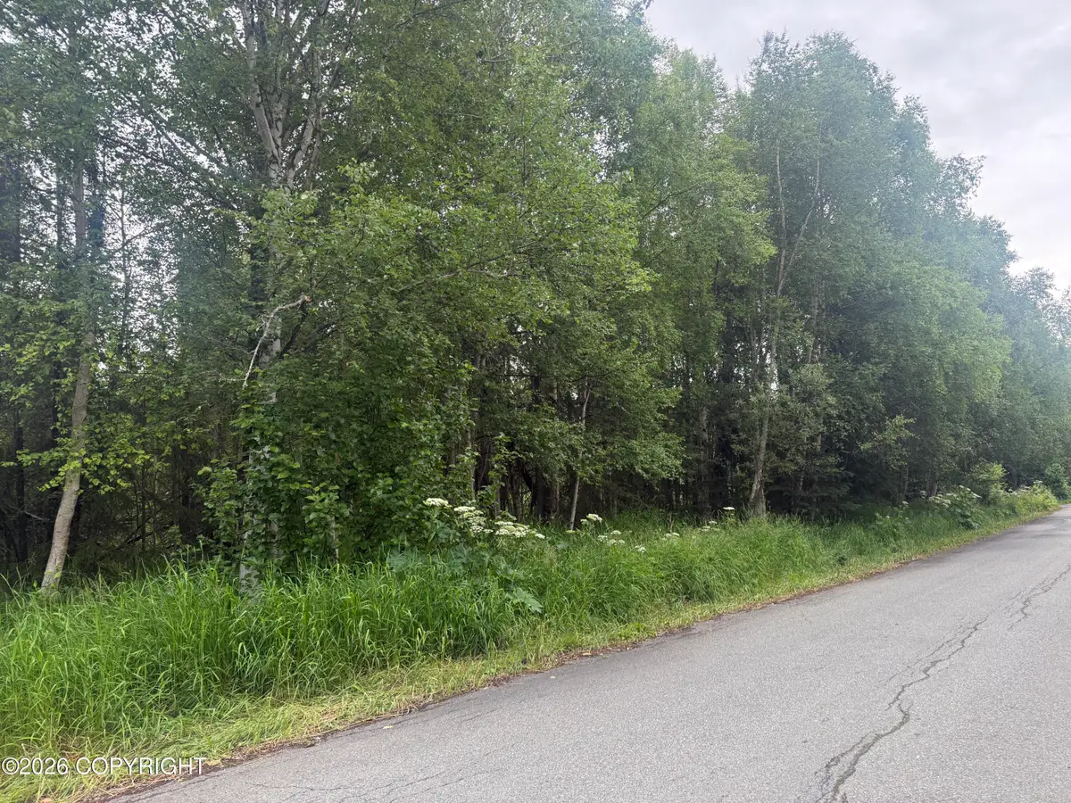 L10 B1 Gander Street, Anchorage, AK 99516 - #1