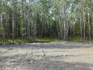 L5 Bent Rod Court, Sterling, AK 99672 - #1