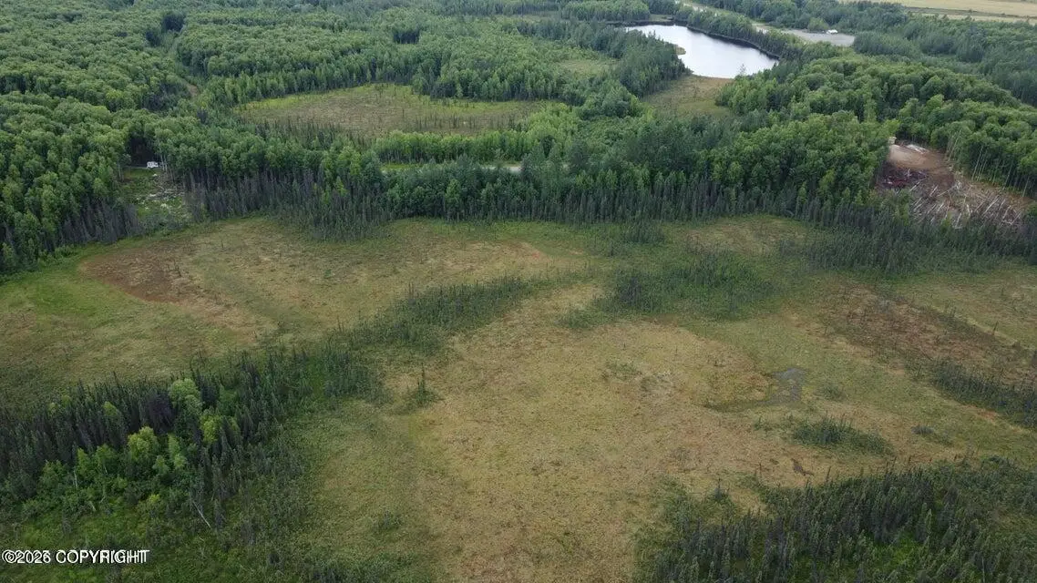 Tr A E Mount Snowshoe Drive, Talkeetna, AK 99676 - #1