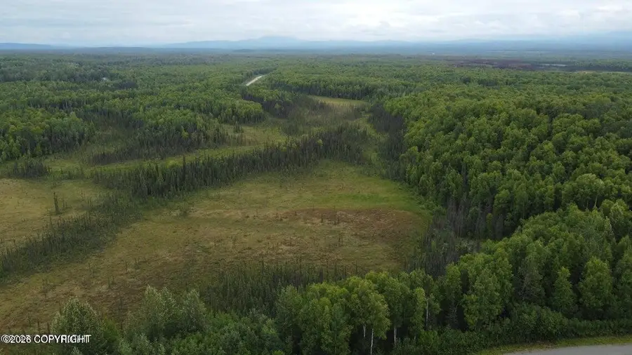 Tr A E Mount Snowshoe Drive, Talkeetna, AK 99676 - #2