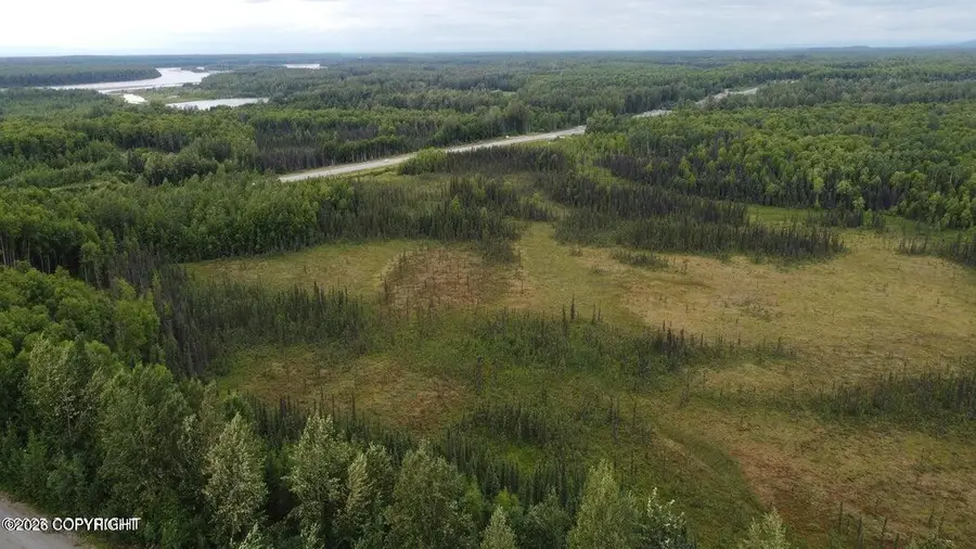 Tr A E Mount Snowshoe Drive, Talkeetna, AK 99676 - #3