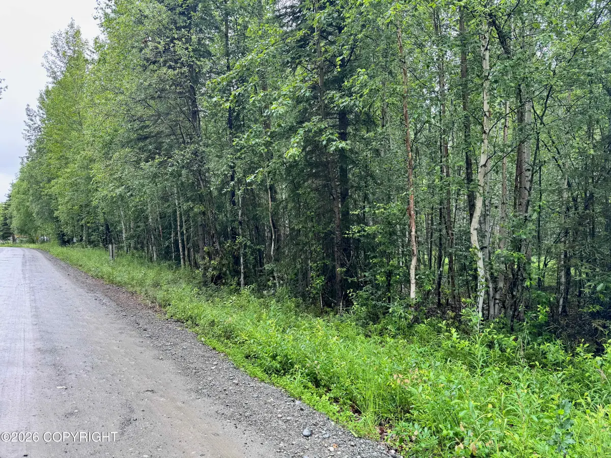 7480 W Captain Hook Drive, Wasilla, AK 99623 - #1
