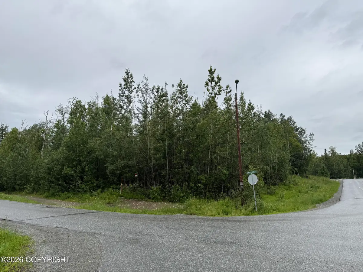 Lot3 B2 E Aspen Ridge Road, Wasilla, AK 99654 - #1
