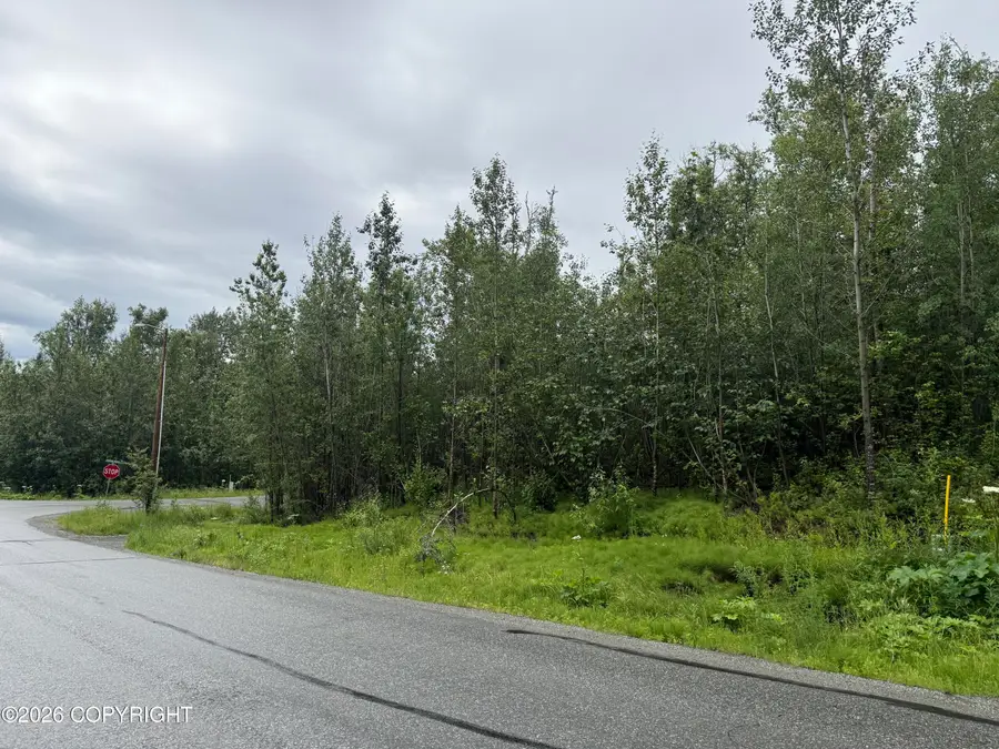 Lot3 B2 E Aspen Ridge Road, Wasilla, AK 99654 - #2