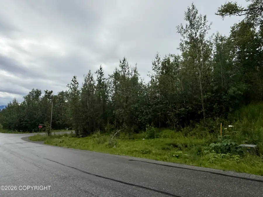 Lot3 B2 E Aspen Ridge Road, Wasilla, AK 99654 - #3