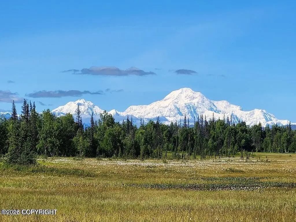 16637 S Laramie Drive, Trapper Creek, AK 99683 - #1