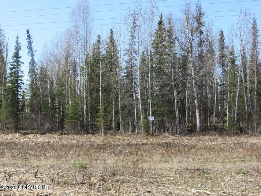 365 Boundary Street, Soldotna, AK 99669 - #1