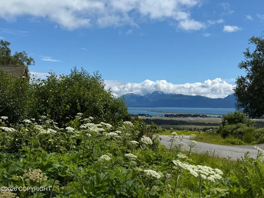 4730 Craftsman Road, Homer, AK 99603 - #3