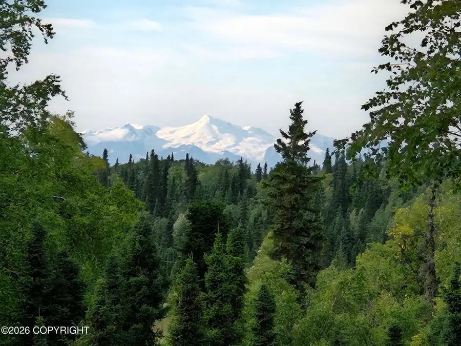 53670 Stol Road, Clam Gulch, AK 99568 - #3