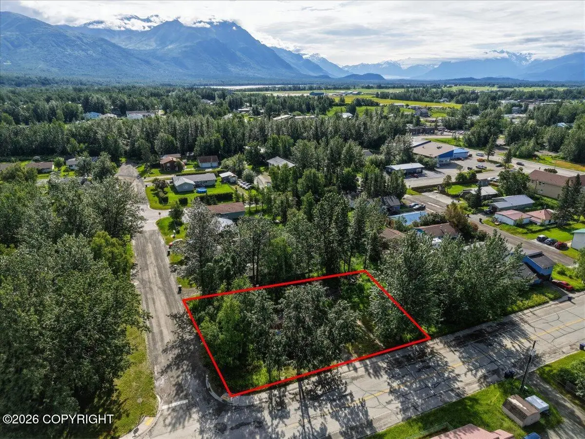 229 N Alaska Street, Palmer, AK 99645 - #1