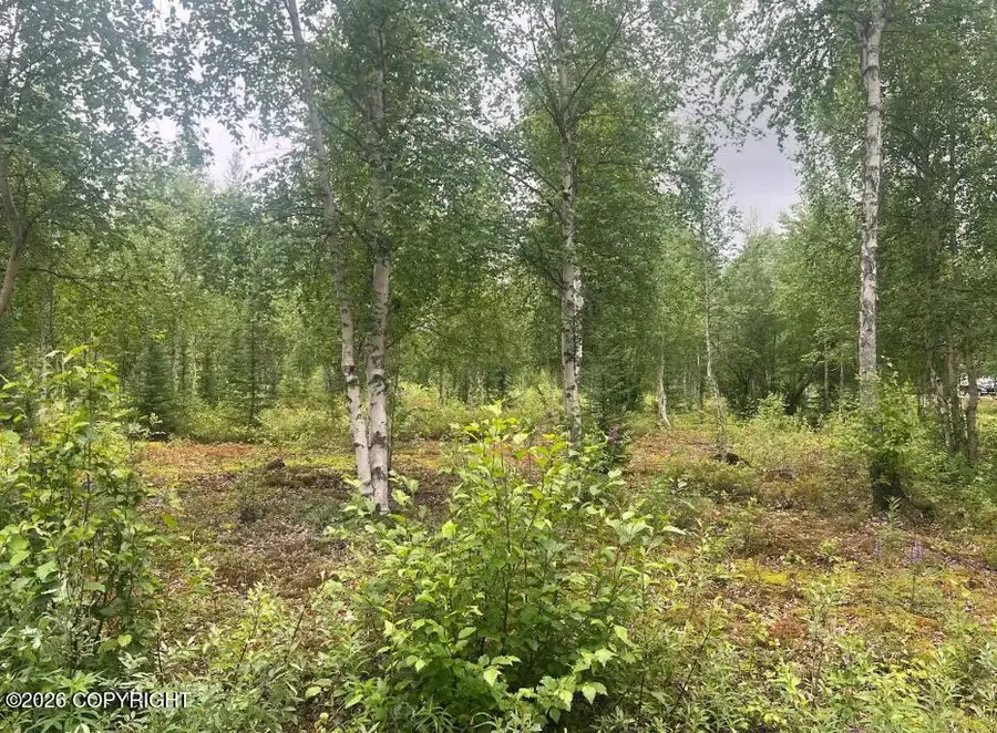 4758 S Horseshoe Lake Road, Big Lake, AK 99652 - #2