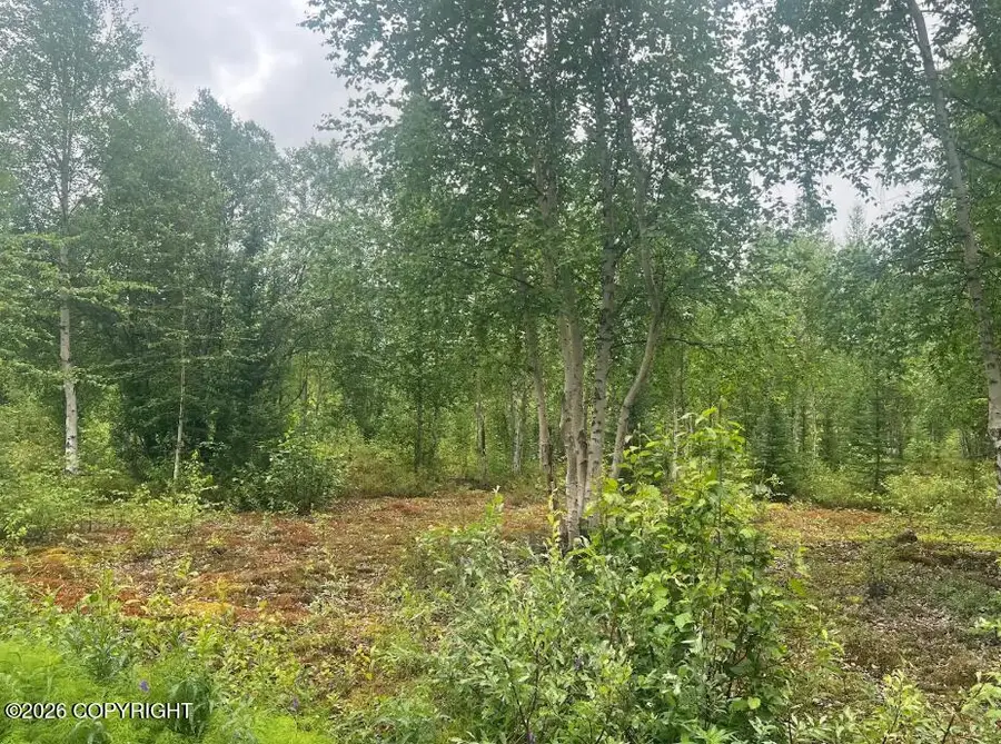 4758 S Horseshoe Lake Road, Big Lake, AK 99652 - #3