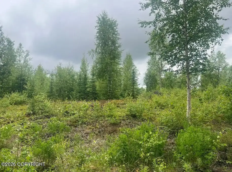 4764 S Horseshoe Lake Road, Big Lake, AK 99652 - #1