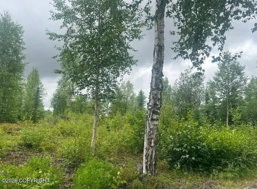 4764 S Horseshoe Lake Road, Big Lake, AK 99652 - #2