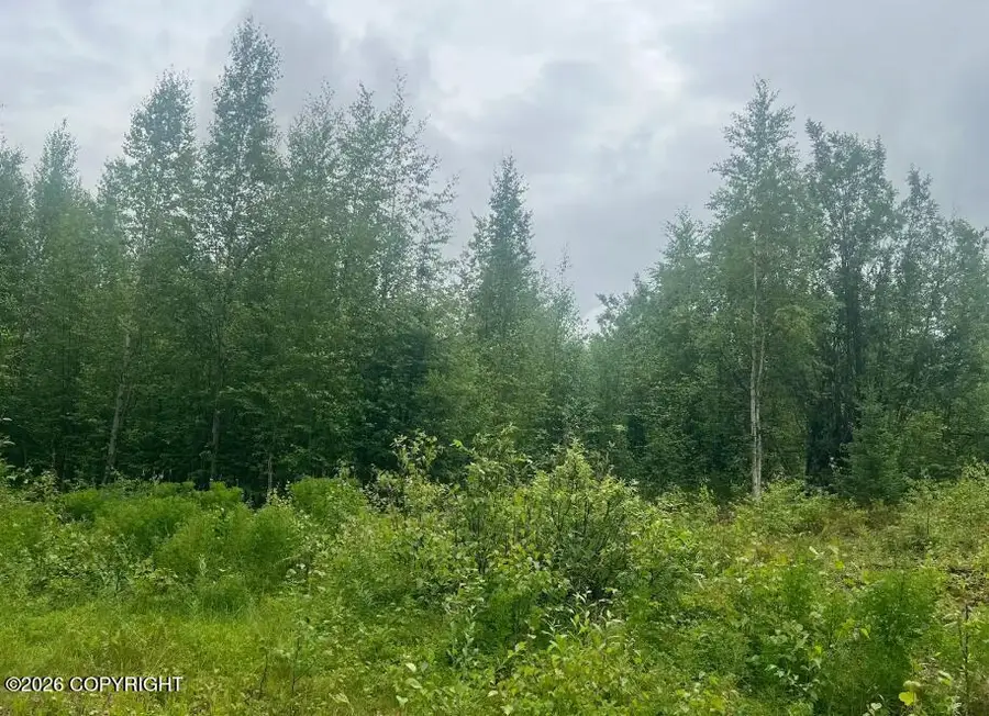 4764 S Horseshoe Lake Road, Big Lake, AK 99652 - #3