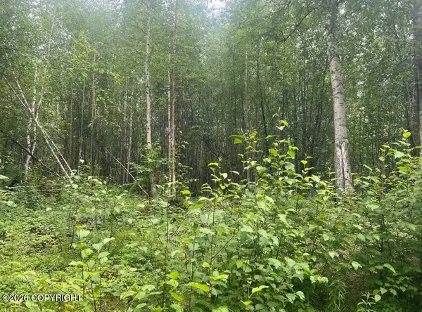 4768 S Horseshoe Lake Road, Big Lake, AK 99652